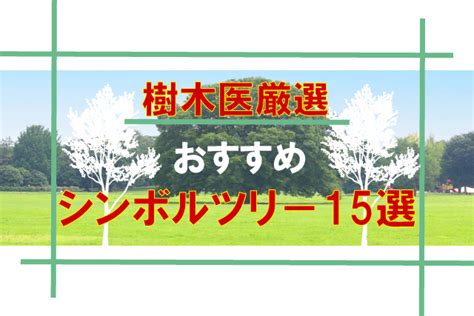 植栽風水|風水・運気が向上するとされるシンボルツリーを紹介。